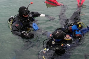 Ausbildungen Rescue
