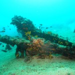 Tauchen auf der Insel Krk Styria Guenis Diving Center Krk, DIE Tauchbasis auf der Insel Krk, die Beste Adresse zum Tauchen in Kroatien